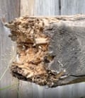 A broken piece of wood.